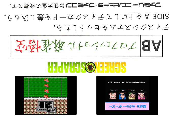 Bishoujo Sexy Derby (Homebrew) — Box back